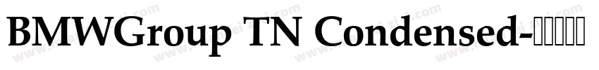 BMWGroup TN Condensed字体转换